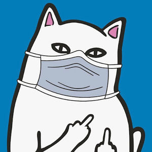 Meet your Posher, Smiley